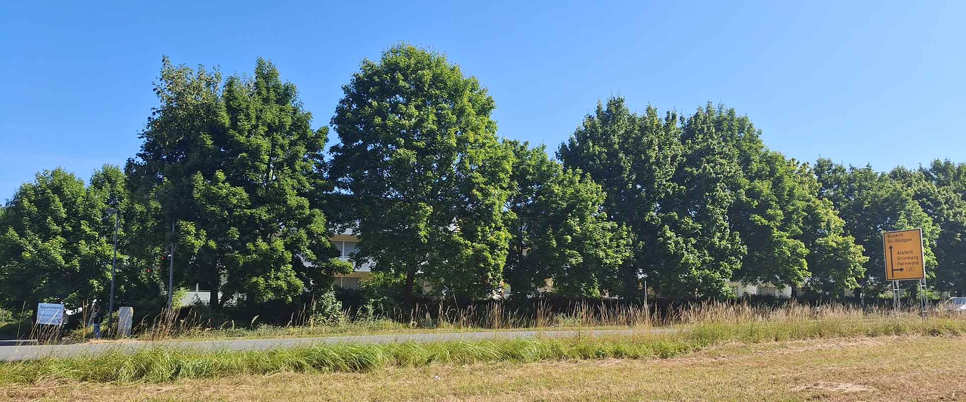 Roedgener Str. 87-89